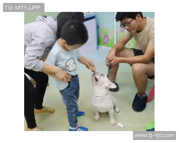 热爱动物的足球明星们与宠物的温馨故事与感人瞬间